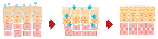 角質層へ直接アプローチ！